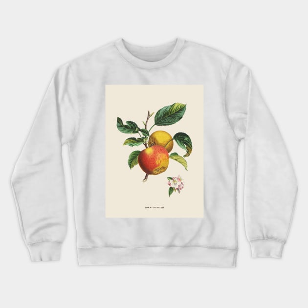 Apple Antique Botanical Illustration Crewneck Sweatshirt by Antiquated Art